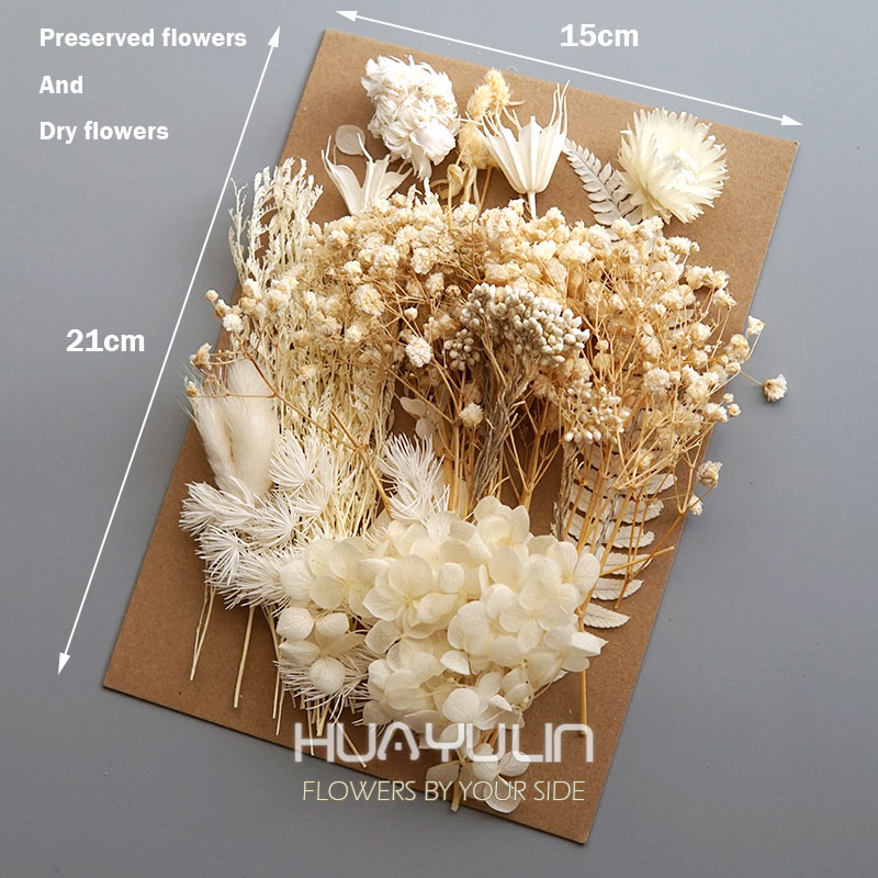 1 Pack Artificial Plants Dried - Holiday Candle Set 评论和价格